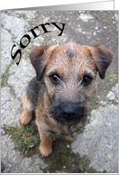 Puppy Eyes card