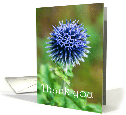 Thank You card (518844)