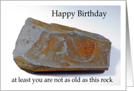 Fossil Birthday