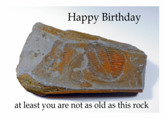 Fossil Birthday