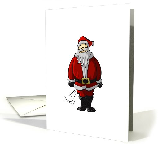Merry Christmas From Boston Santa Funny Humor card (516502)