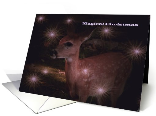 Magical Christmas card (519079)