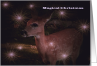 Magical Christmas card