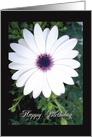 Happy Birthday Flower POWer card