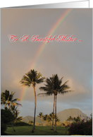Kauai rainbow/palms...
