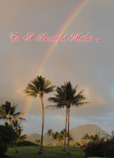 Kauai rainbow/palms...
