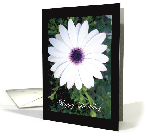 Happy Birthday Flower POWer card (932832)