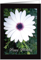 Happy Birthday Flower POWer card