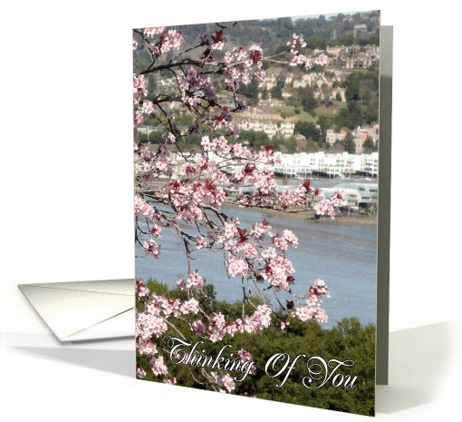 You Spring to Mind Thinking of You card (932836)