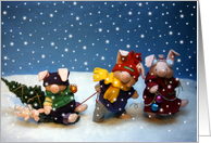Piggles Pulling Christmas Tree card
