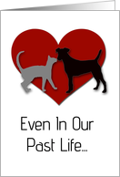 Past Life Love card