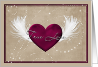 Love heart and feathers True Love Card