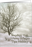 Sending you warm wishes this holiday card