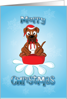 boxer dog - sledge card