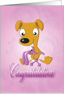 baby whippet and cuddly bunny - pink(congratulation) card