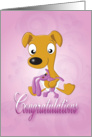 baby whippet and cuddly bunny - pink(congratulation) card