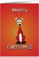 whippet - reindeer costume card