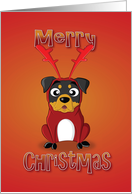 rottweiler - reindeer costume card