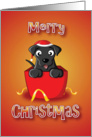 black labrador -gift card