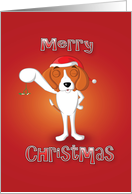 beagle - mistletoe card
