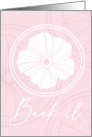 Baek il White Hibiscus on Pink card