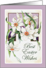 Best Easter Wishes Vintage Flowers Purple and White Daffodil Narcissus card