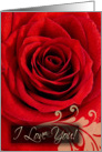 Water Drops on Red Rose w/Swirl Romantic Anniversary Card