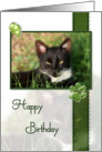 Cat Happy Birthday card
