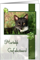 Cat Happy Birthday Hartelijk Gefeliciteerd Dutch card