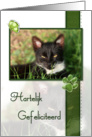 Cat Happy Birthday Hartelijk Gefeliciteerd Dutch card