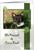 Cat Announcement We Rescued a Cat in Need card