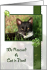 Cat Announcement We Rescued a Cat in Need card