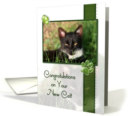 Cat Congratulations On Your New Cat card (536300)