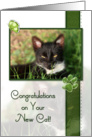 Cat Congratulations On Your New Cat card