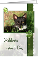 Cat Celebrate Earth Day card