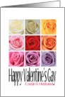 Cousin and Husband - Happy Valentine’s Gay, Rainbow Roses card