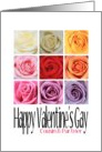 Cousin and Partner - Happy Valentine’s Gay, Rainbow Roses card