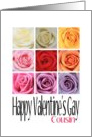 Cousin - Happy Valentine’s Gay, Rainbow Roses card