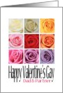 Dad and Partner - Happy Valentine’s Gay, Rainbow Roses card