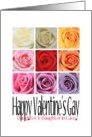 Daughter and Daughter in Law - Happy Valentine’s Gay, Rainbow Roses card