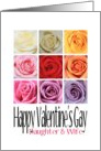 Daughter and Wife - Happy Valentine’s Gay, Rainbow Roses card