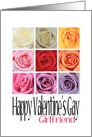 Girlfriend - Happy Valentine’s Gay, Rainbow Roses card