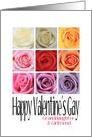 Granddaughter and Girlfriend - Happy Valentine’s Gay, Rainbow Roses card