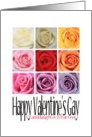 Granddaughter and Partner - Happy Valentine’s Gay, Rainbow Roses card