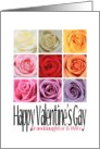 Granddaughter and Wife - Happy Valentine’s Gay, Rainbow Roses card