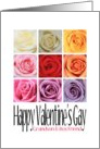 Grandson and Boyfriend - Happy Valentine’s Gay, Rainbow Roses card