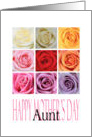 Aunt - Happy Mother’s Day, Rainbow Roses card