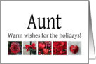 Aunt - Red Collage warm holiday wishes card