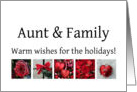 Aunt & Family - Red Collage warm holiday wishes card