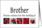 Brother - Red Collage warm holiday wishes card